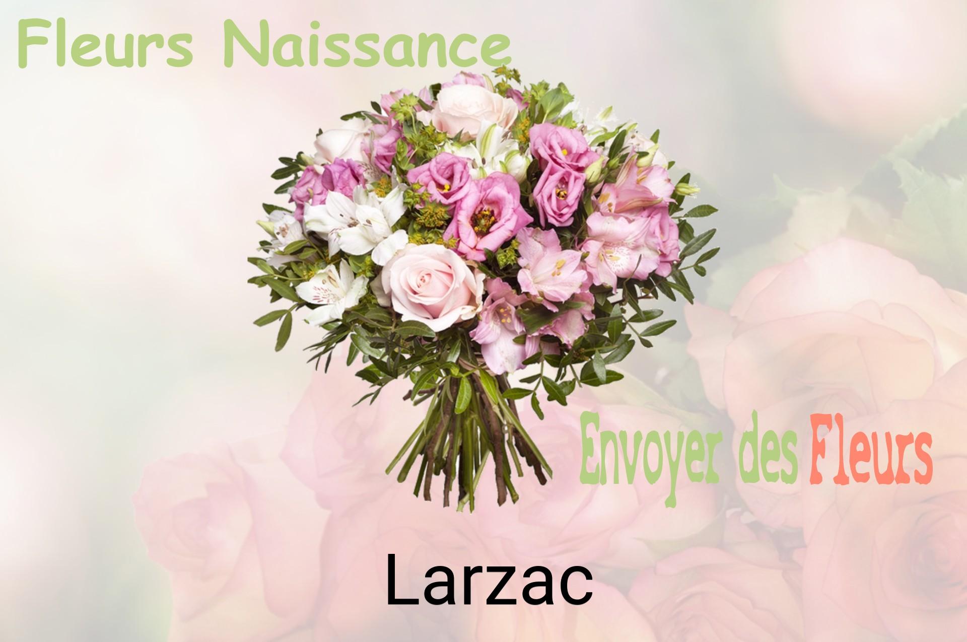 Bouquet de fleurs de naissance livré à Larzac